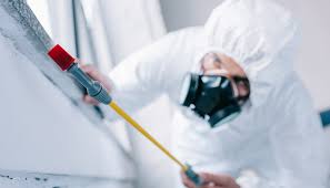 Best Residential Pest Control  in Shenandoah, LA